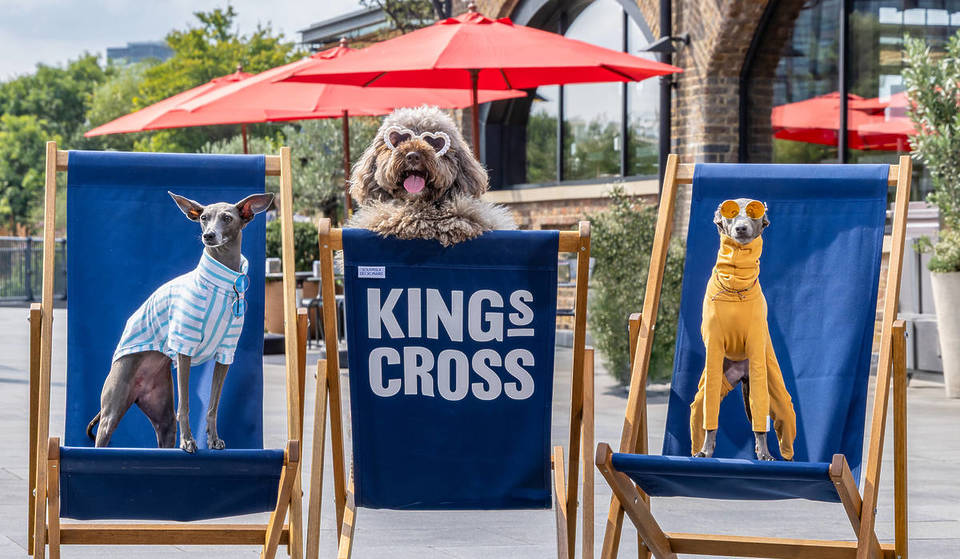 Das Pfoten-Wellness-Festival für Hunde kehrt dieses Wochenende nach King&#8217;s Cross zurück &#8211; und die Teilnahme ist kostenlos