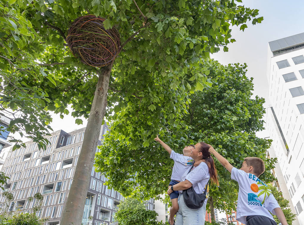 a family point up at a nest-like installation in the treetops