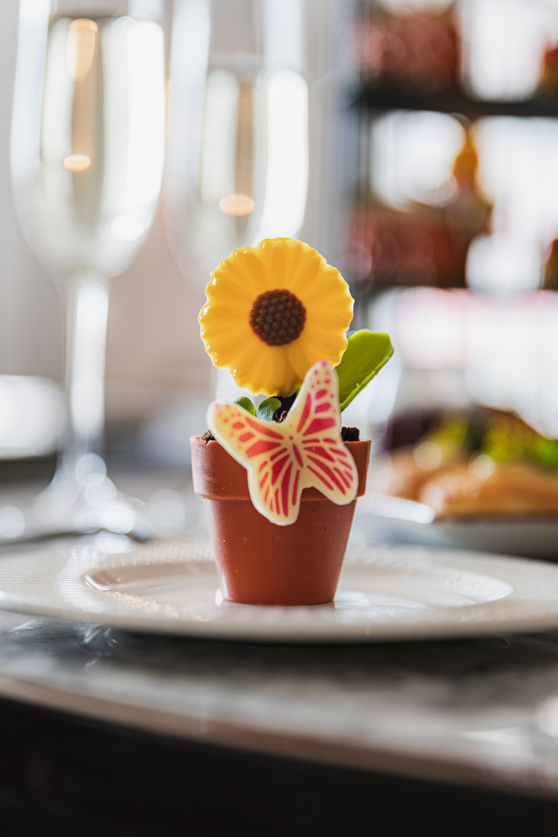 an edible sunflower in a chocolate dessert pot with a butterfly