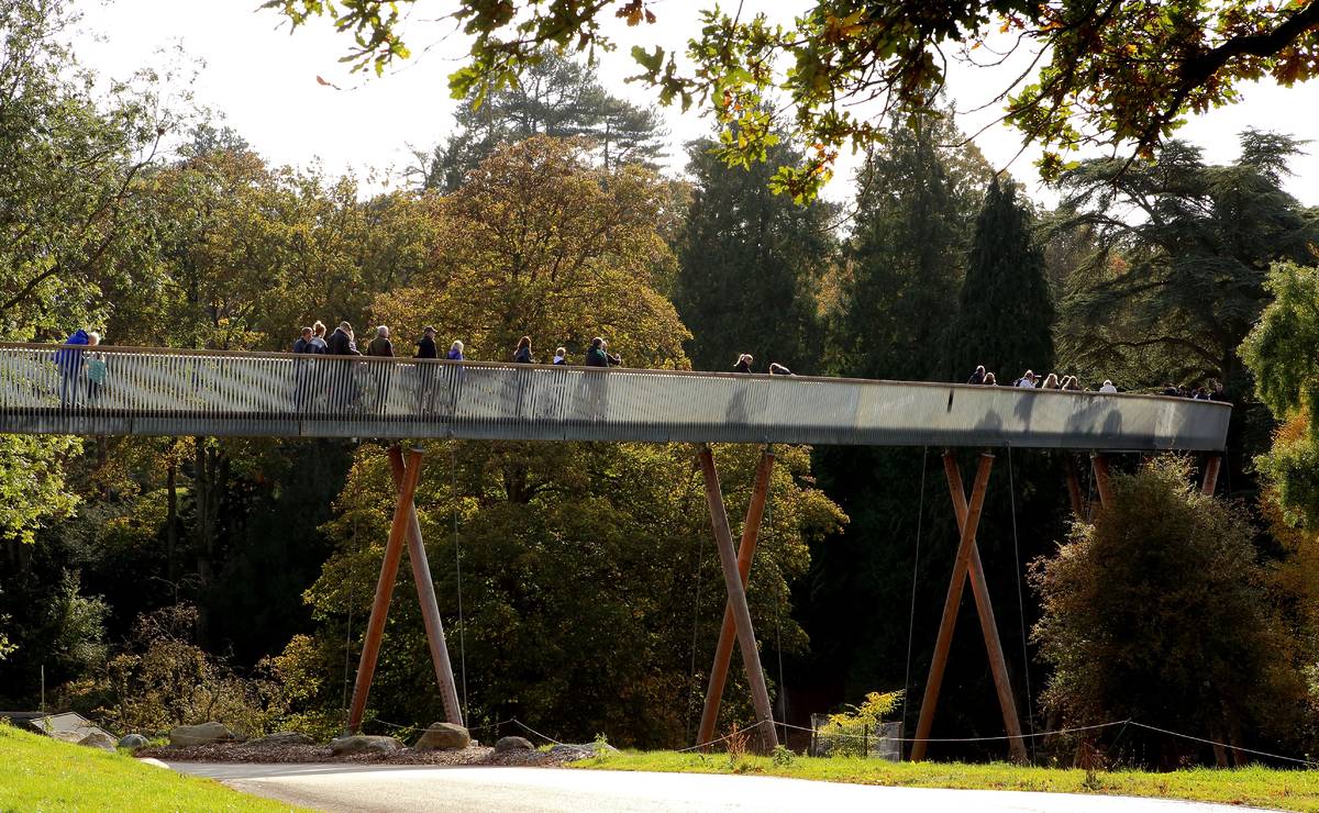 People walking on the lookout bridge,watching the nice autumn or fall colorful foliage in Westonbirt Arboretum, Gloucestershire,England,United Kingdom.The photo was taken on 28th of October, 2016