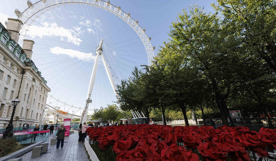 Eine auffällige Spur riesiger roter Rosen hat das London Eye umringt, um die monumentalen Erfolge der englischen Rugby-Frauenmannschaft zu feiern