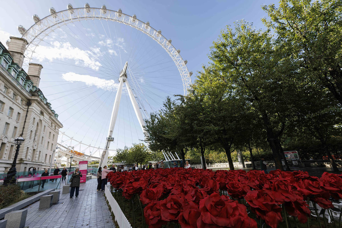 A Striking Trail Of Giant Red Roses Has Surrounded The London Eye – Celebrating The Monumental Achievements Of The England Women’s Rugby Team