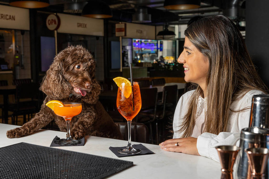 a dog and its human enjoying a cocktail together
