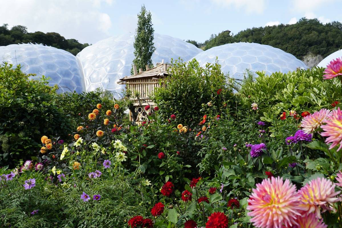 The Eden Project surrounded by flowers