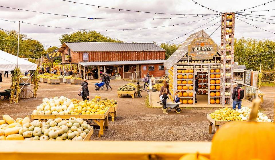 The UK&#8217;s Largest Pumpkin Festival Is Just 1 Hour From London — It Has 1 Million Pumpkins To Pick From And Plenty Of Gorgeous Autumnal Photo Opportunities