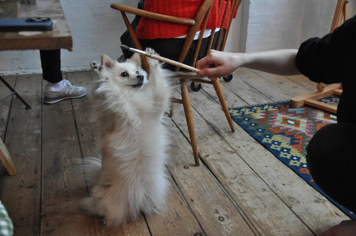 a dog on its back paws reaching out for an outstretched paintbrush