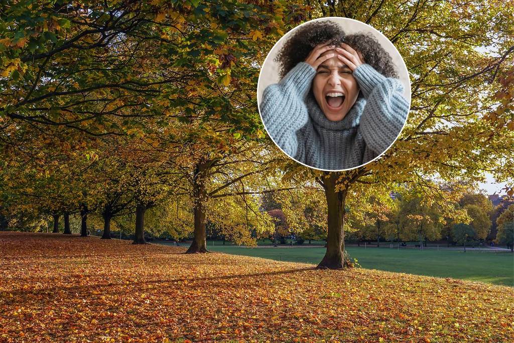 Ein herbstliches Bild des Hyde Park in London mit einem kleinen Bild einer schreienden Frau überlagert