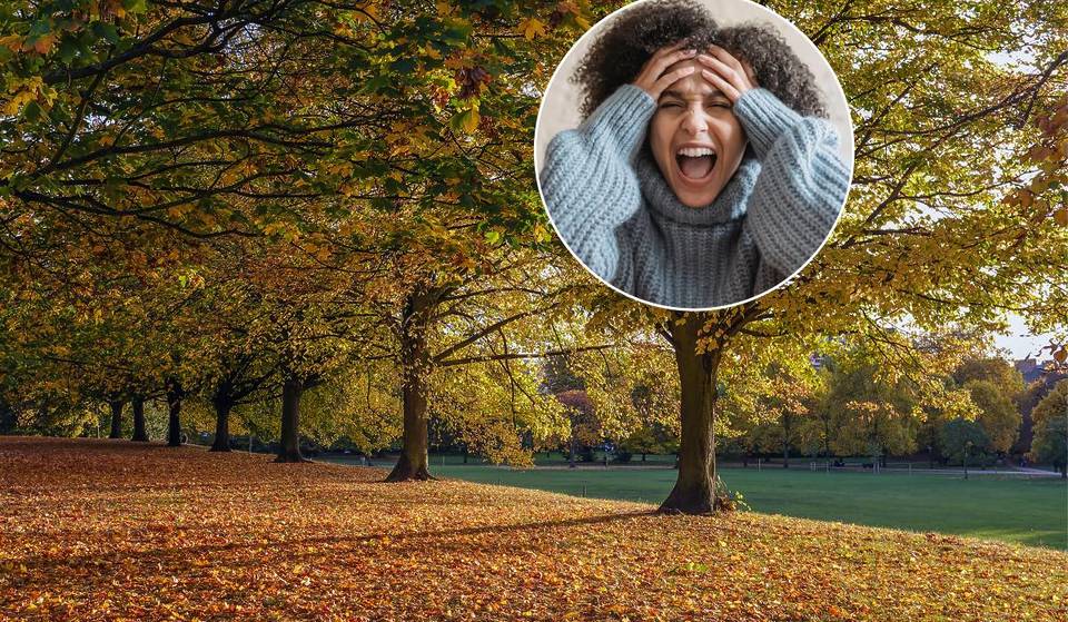 La semana pasada, más de 1.000 londinenses se reunieron en Primrose Hill para gritar como locos.