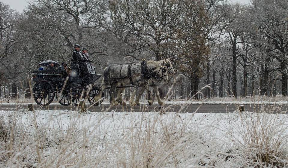 Cet hiver, vous pourrez faire une balade enchanteresse en calèche dans le parc de Richmond