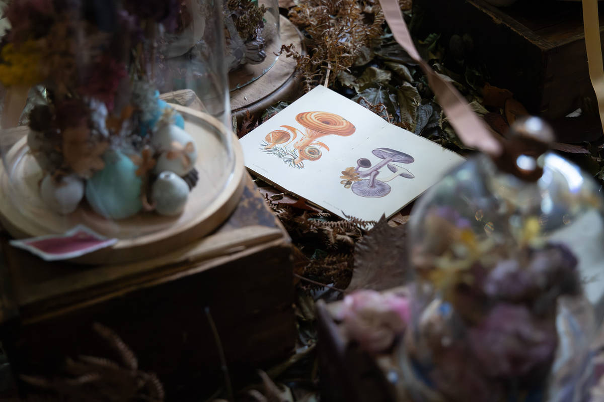 a display of flower sketches and arranged dead flowers
