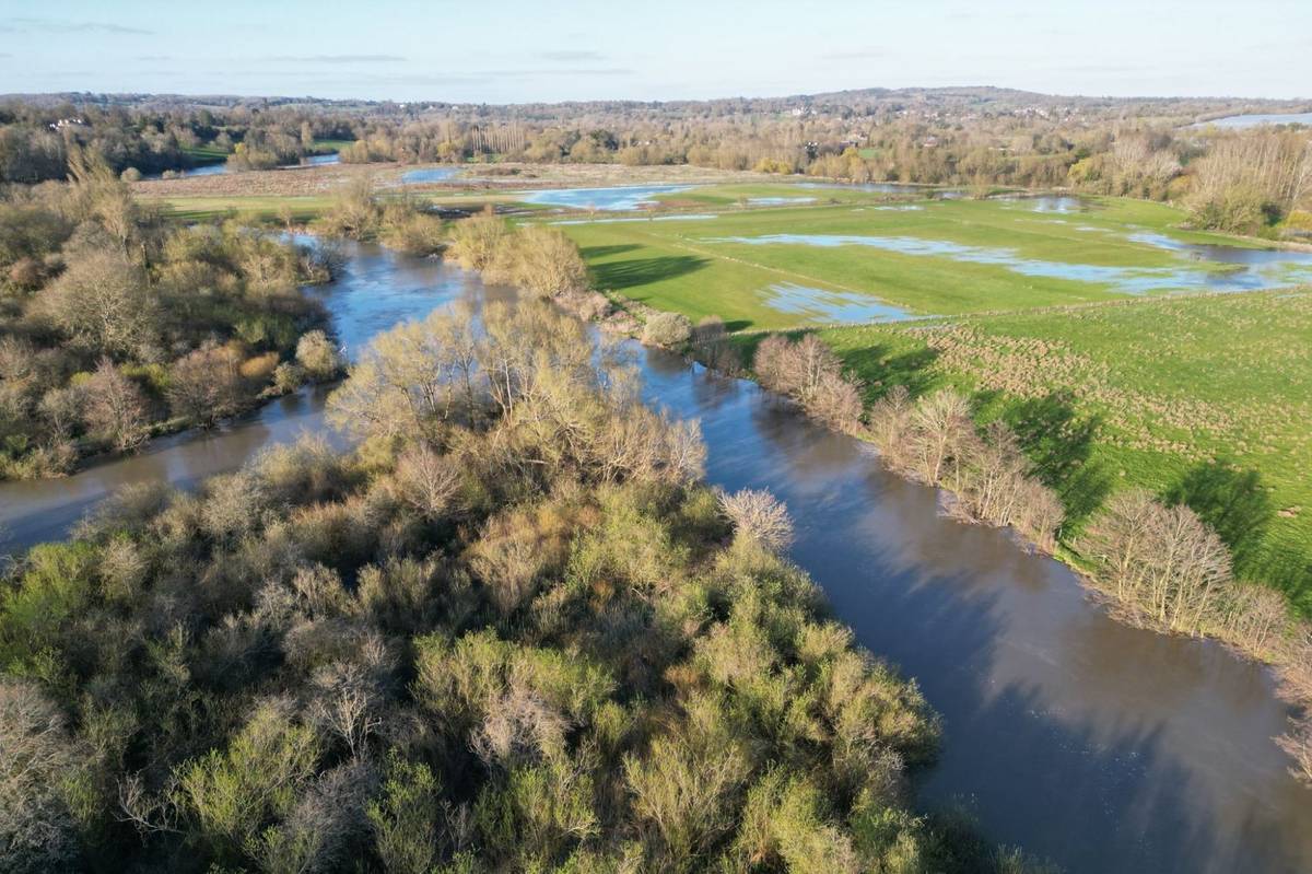 A birds-eye view of the leafy private island for sale