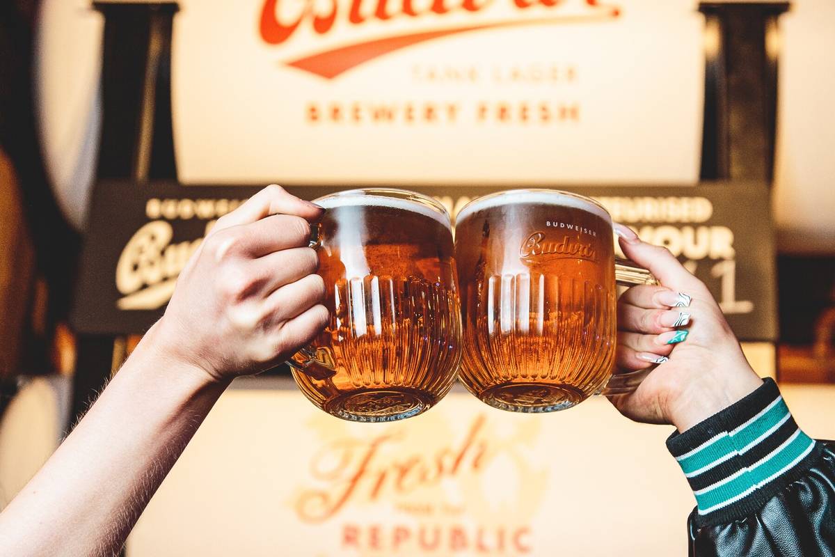 two pints being cheersed together