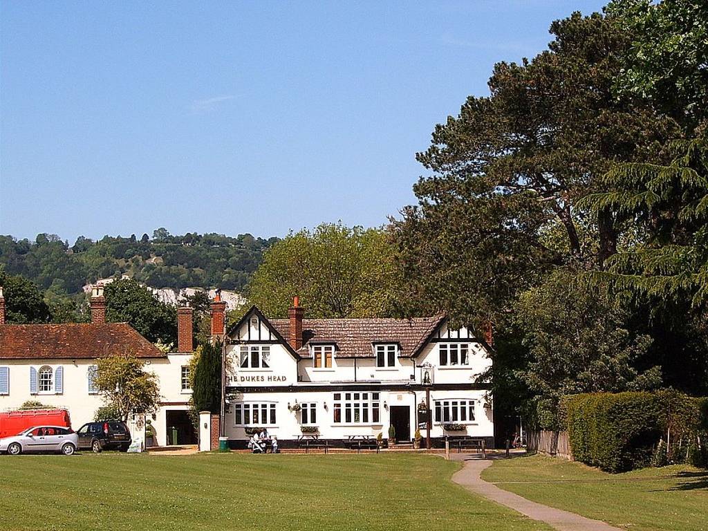A view of the pub from across the village green in a picturesque Surrey village