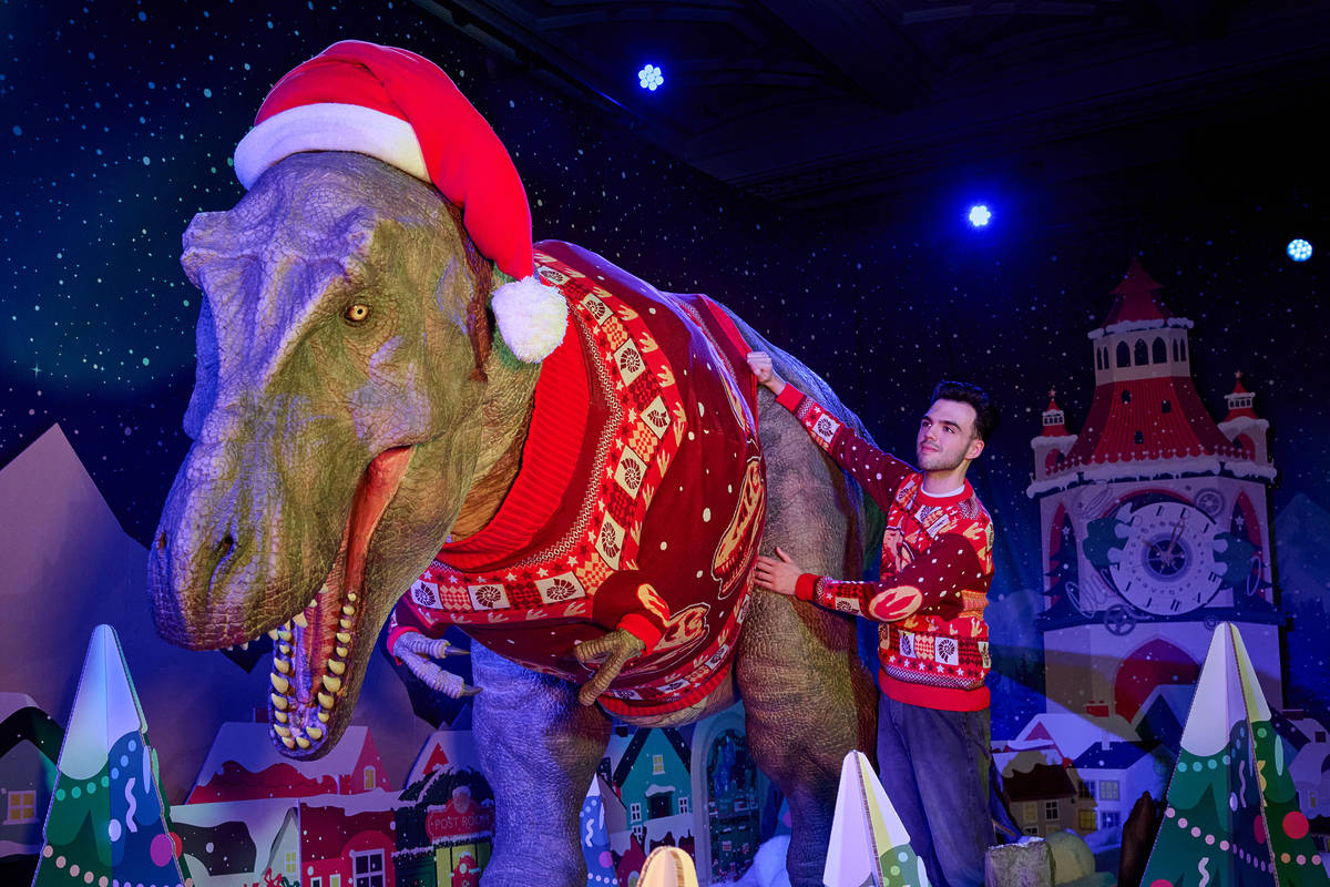 someone standing next to an animatronic t/ rex - both are wearing matching christmas jumpers
