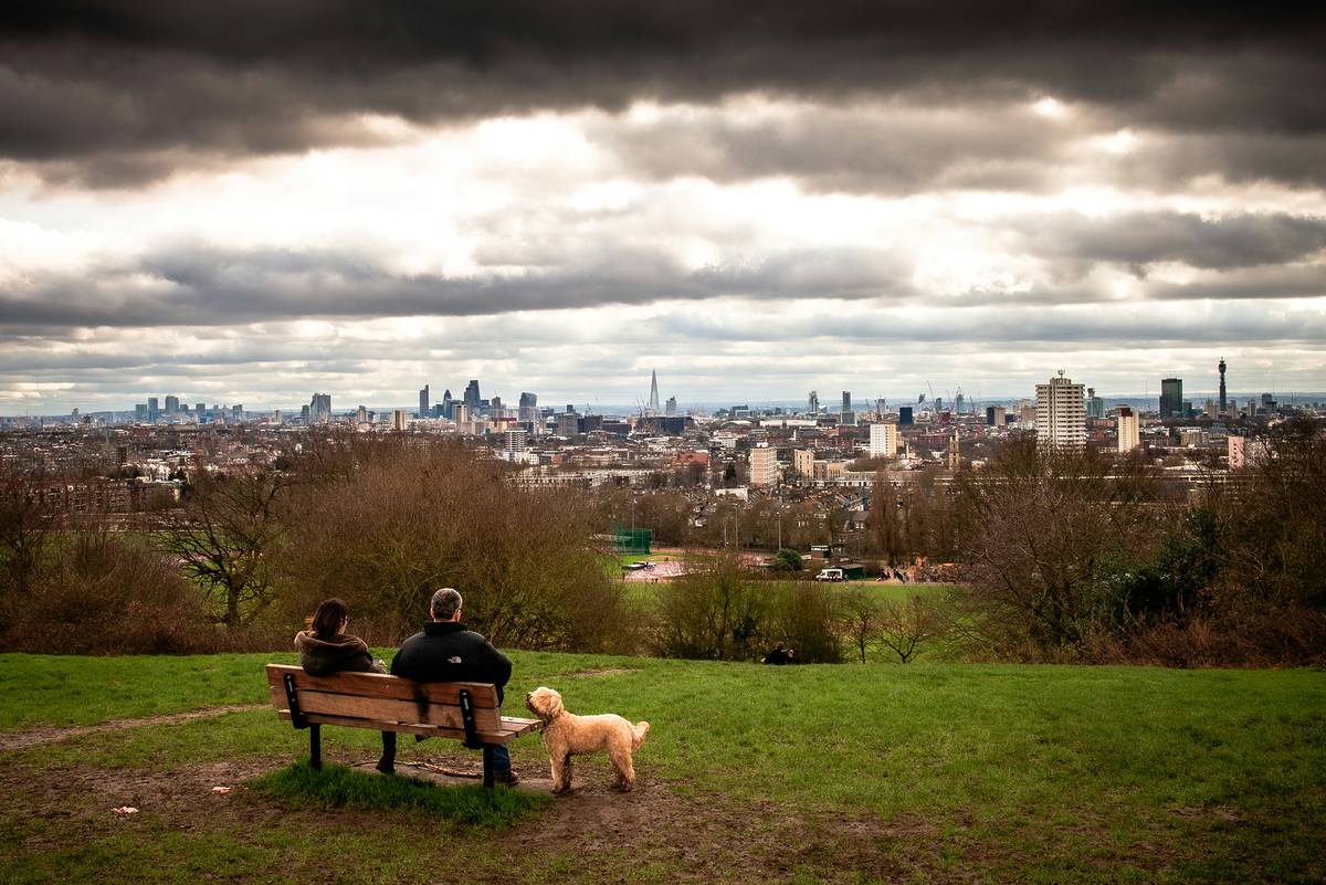 A couple sit on a park bench overlooking London with their small white dog on the grass