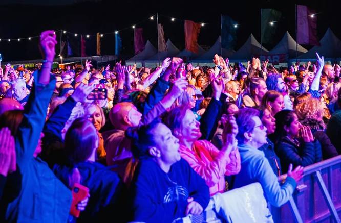 An excited crowd at an outdoor music festival