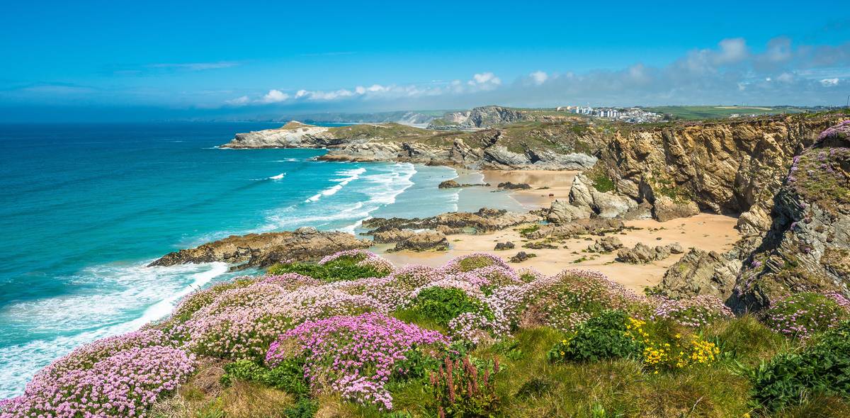 A beach in Cornwall surrounded by cliffs and shrubbery