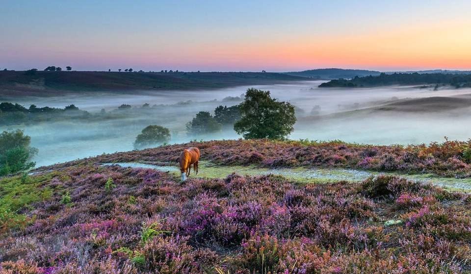 5 Destinations Less Than 2 Hours From London Perfect For Reconnecting With Nature (And With Yourself)