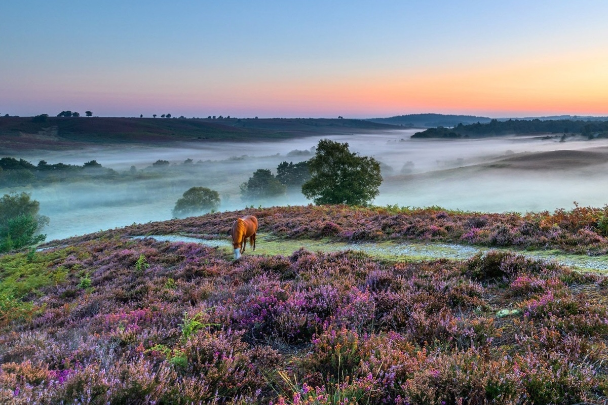 Get Black Friday Deals On Getaways With Stayforlong