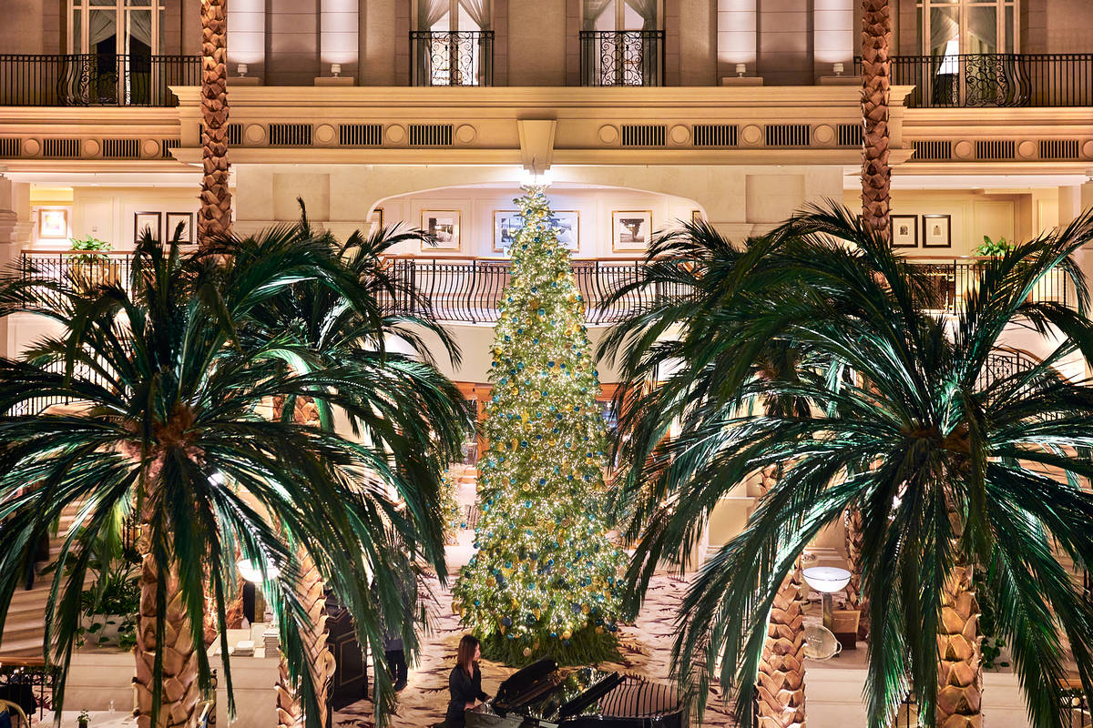 the winter garden dining area in the landmark hotel, featuring a shimmering christmas tree and palm trees