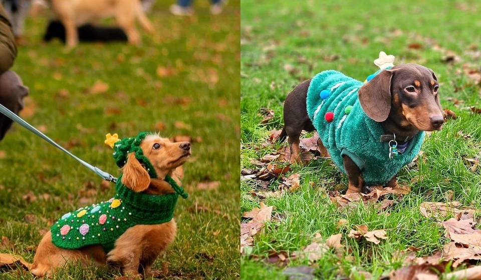 Een Kerstparade van schattige gekostumeerde Worstenhonden komt volgende maand naar Londen – met prijzen voor de best geklede teckelgangers