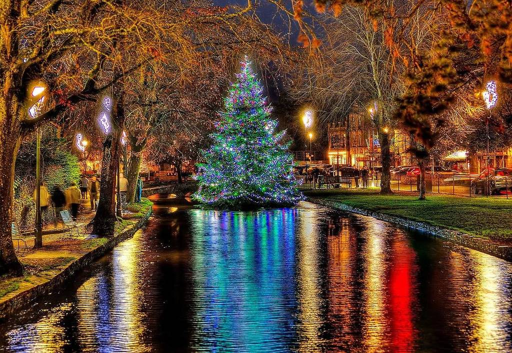 A huge Christmas Tree sat in the middle of the River surrounded by trees