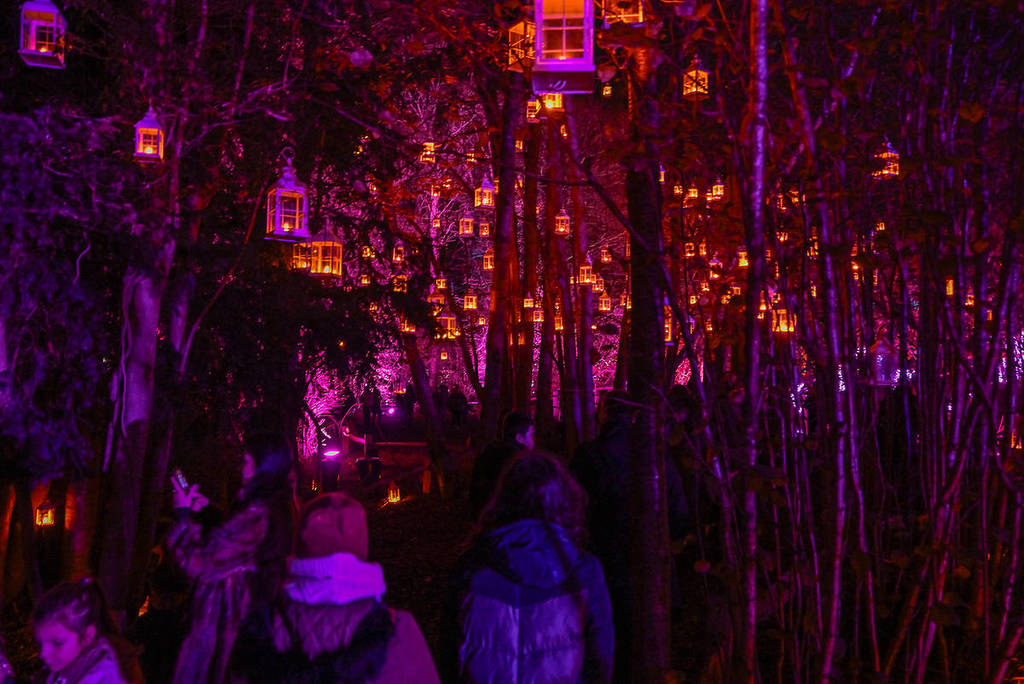 lights in the trees at Tulleys Farm