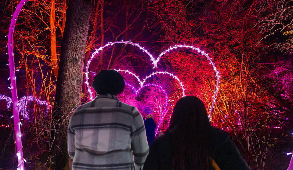 This Fantastic Winter Lights Trail Has A Number Of Celebrity Fans – And Is Just An Hour From London, With 30 Million Twinkling Lights