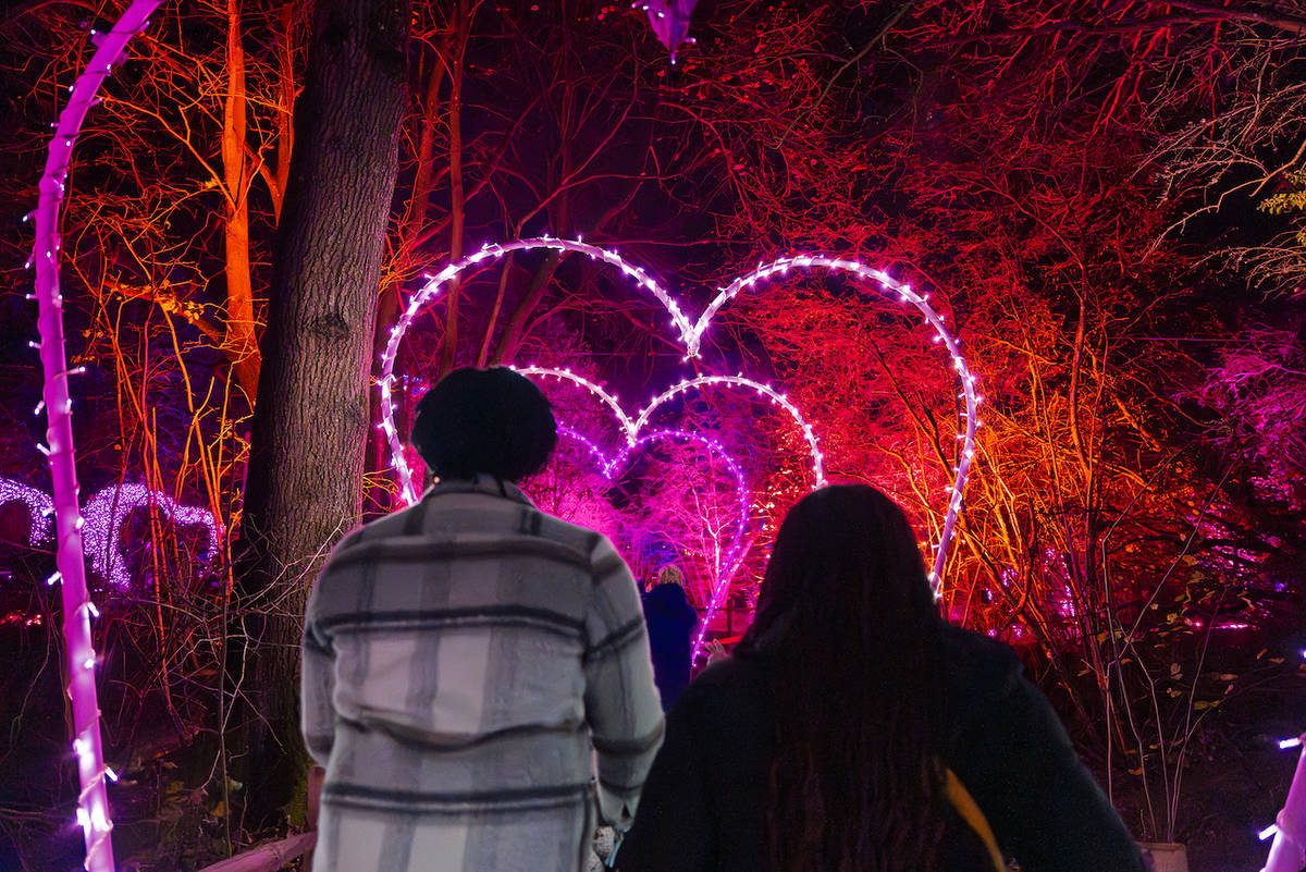 This Fantastic Winter Lights Trail Has A Number Of Celebrity Fans