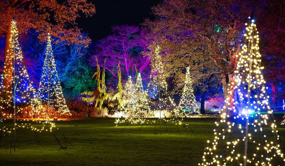 One Of The UK’s Prettiest Gardens Has Transformed Into A Magical Winter Wonderland Of Illuminations – It’s Just An Hour From London And Features Hundreds Of Glowing Plants And Twinkling Installations
