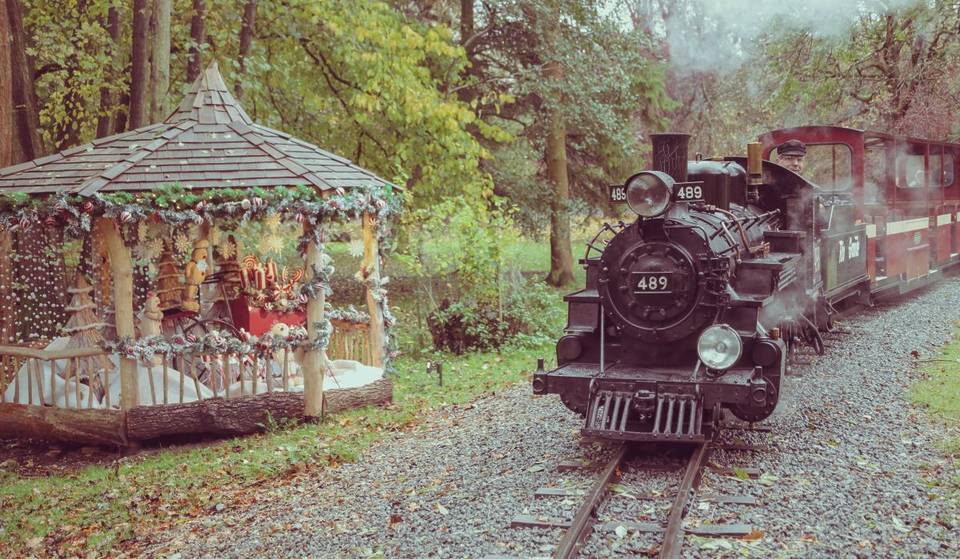 This Magical Christmas Train Ride Journeys Through An Enchanting Ancient Woodland Near London – And Passengers Can Meet Father Christmas, Make Their Own Reindeer Food, And Discover Secret Fairy Hideouts