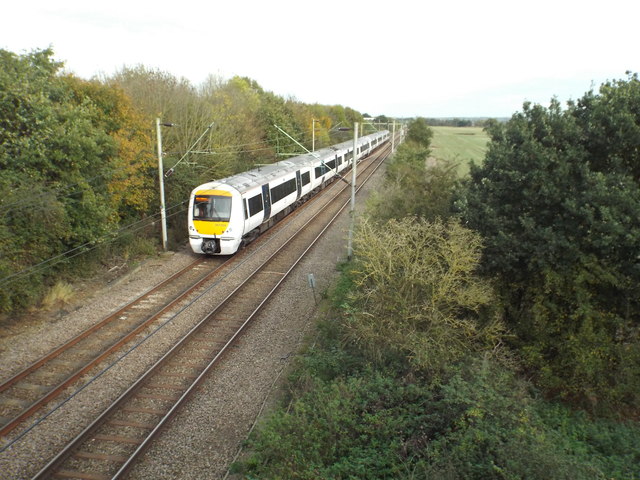 A train riding down a train track surrounded by greenery