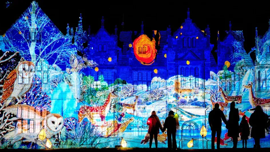 colourful festive light installations at glow wild christmas trail