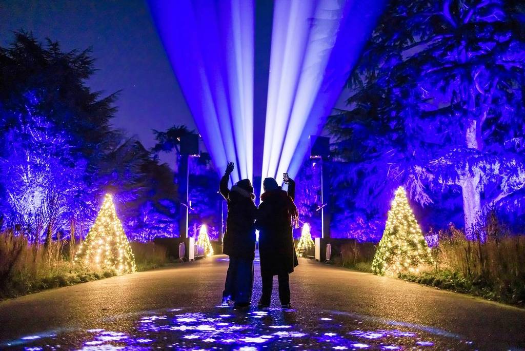 two figures stand silhouetted in beams of light at Christmas at Kew light trail