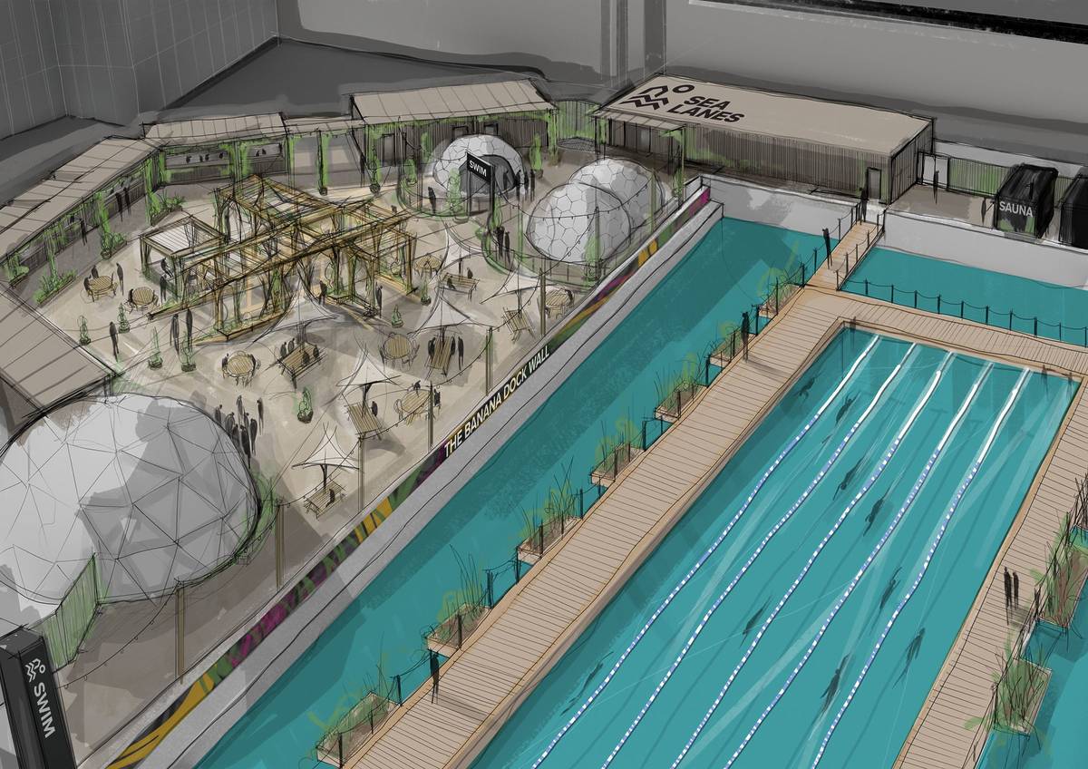 An illustration of a 50 metre swimming pool, sectioned into lanes