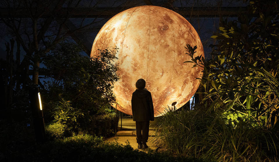 El impresionante Festival de Luces de Invierno de Canary Wharf ha vuelto, iluminando las oscuras y frías noches con brillantes instalaciones luminosas.