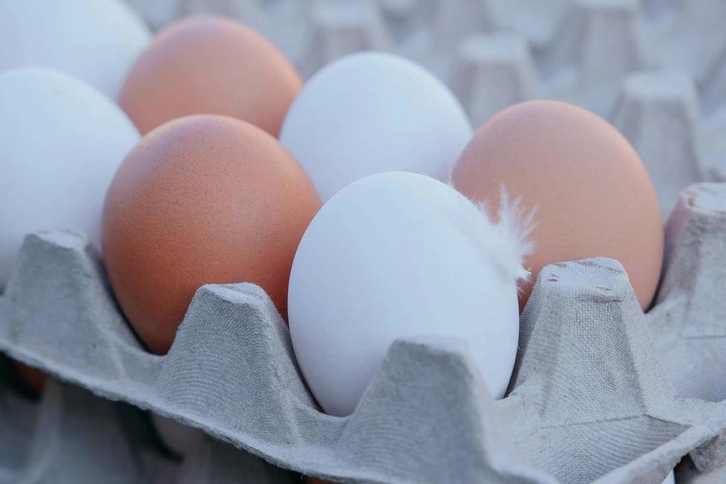 brown and white eggs in an egg carton
