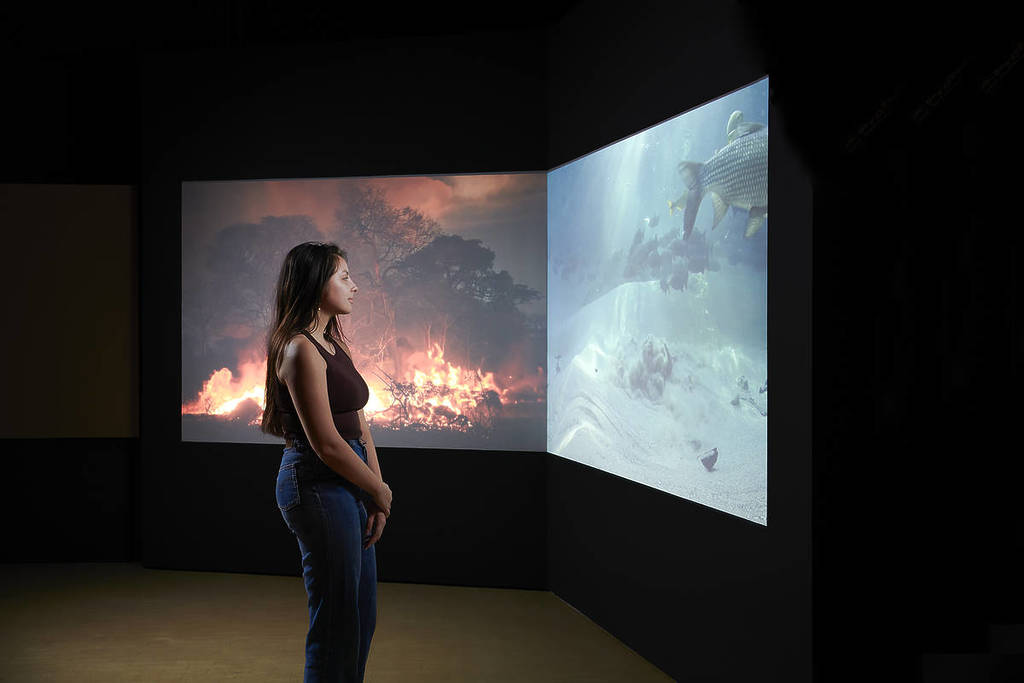 Visitor in the Water Pantanal Fire exhibition at the Science Museum
