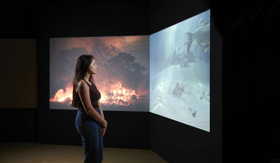 Esta nova exposição no Museu da Ciência mostra o impacto dramático das alterações climáticas num dos locais mais únicos da UNESCO no mundo.