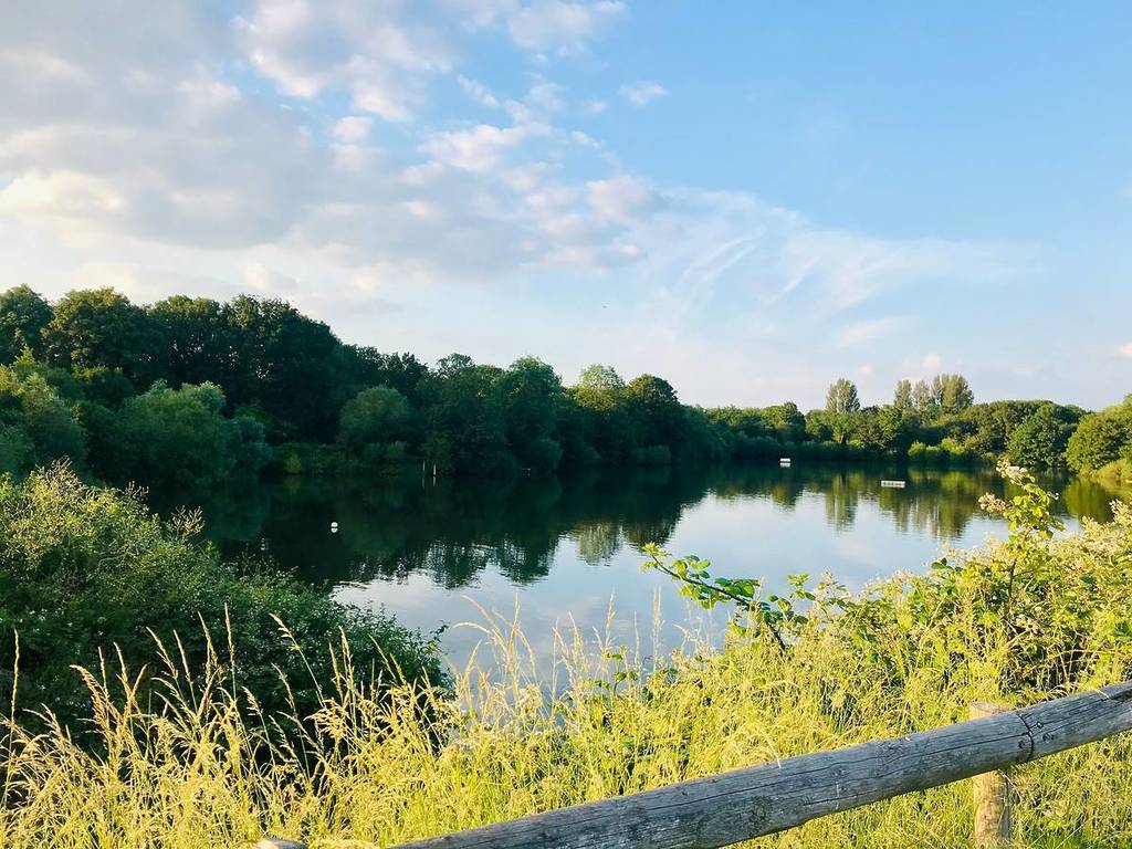 Ein Abschnitt der Themse in der Nähe von Ham in Richmond