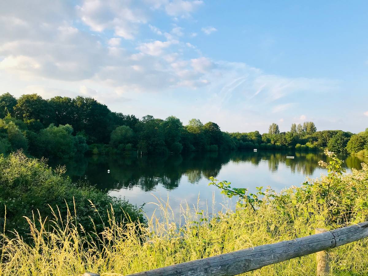 London wird bald einen malerischen neuen Freiwasser-Badeplatz begrüßen London wird bald einen malerischen neuen Freiwasser-Badeplatz begrüßen