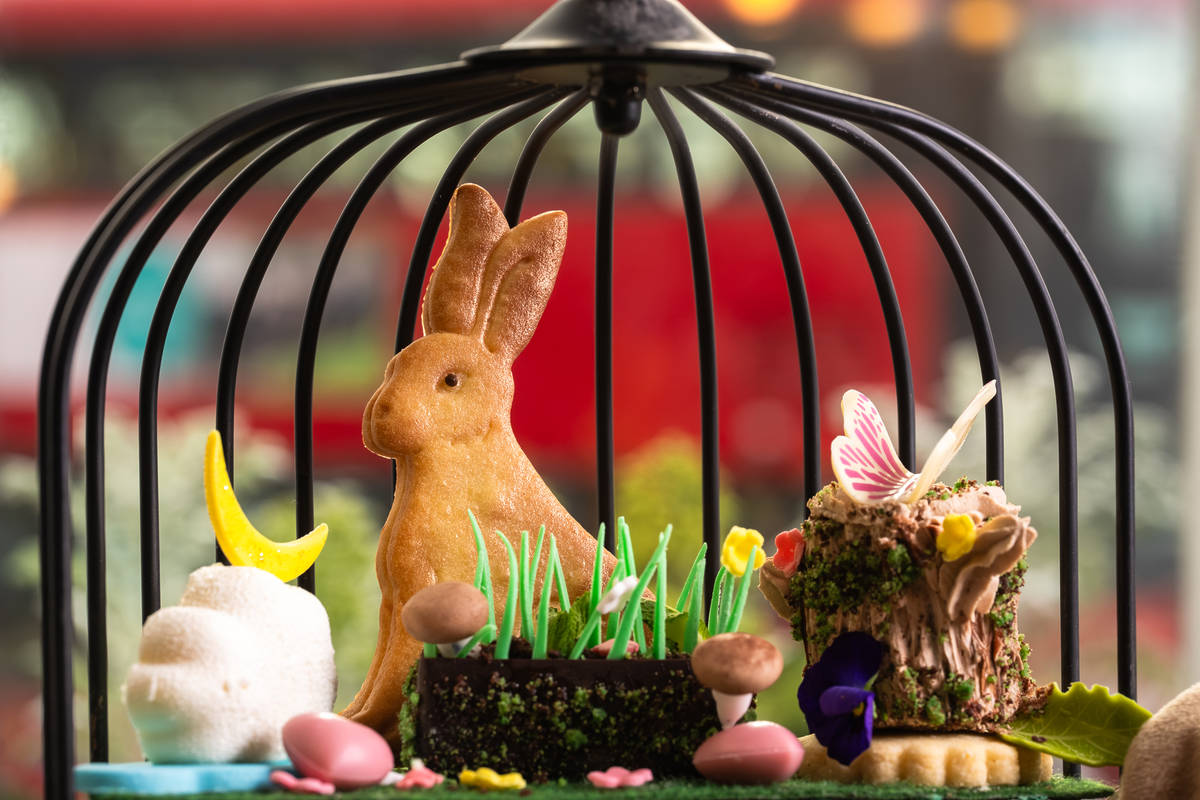 animal shaped sweet treats around a flower meadow shaped piece of food