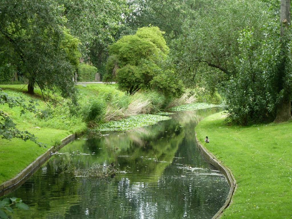 Una vía fluvial en Thamesmead rodeada de árboles y vegetación.