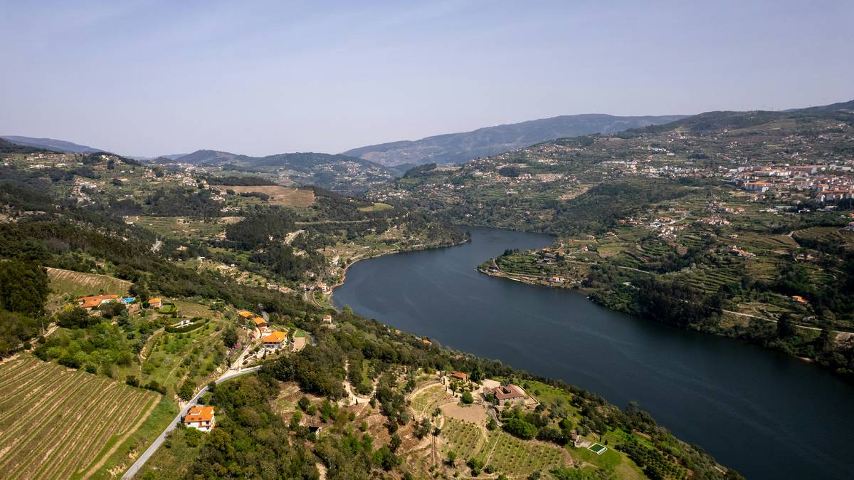 Duoro wine valley in portugal