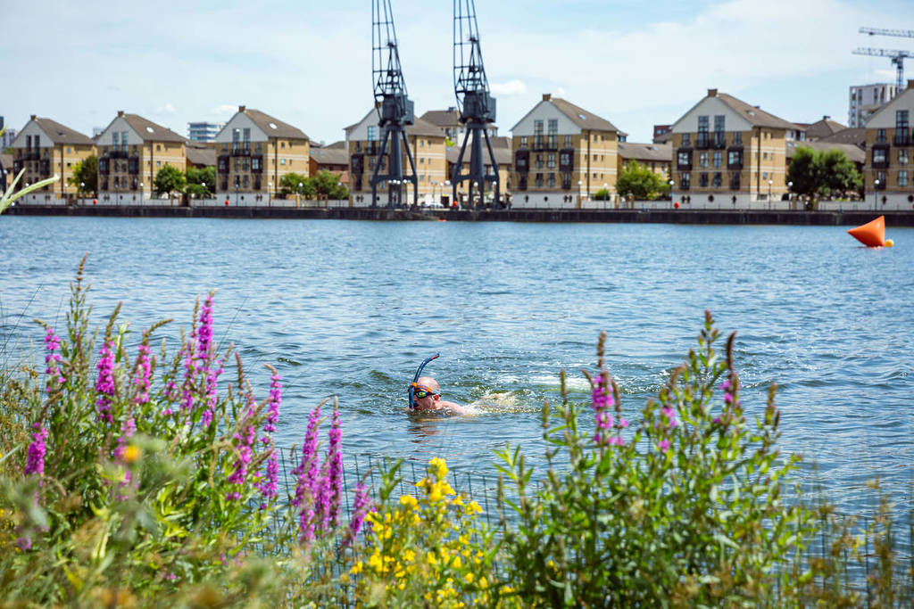 Jemand schnorchelt in den königlichen Docks