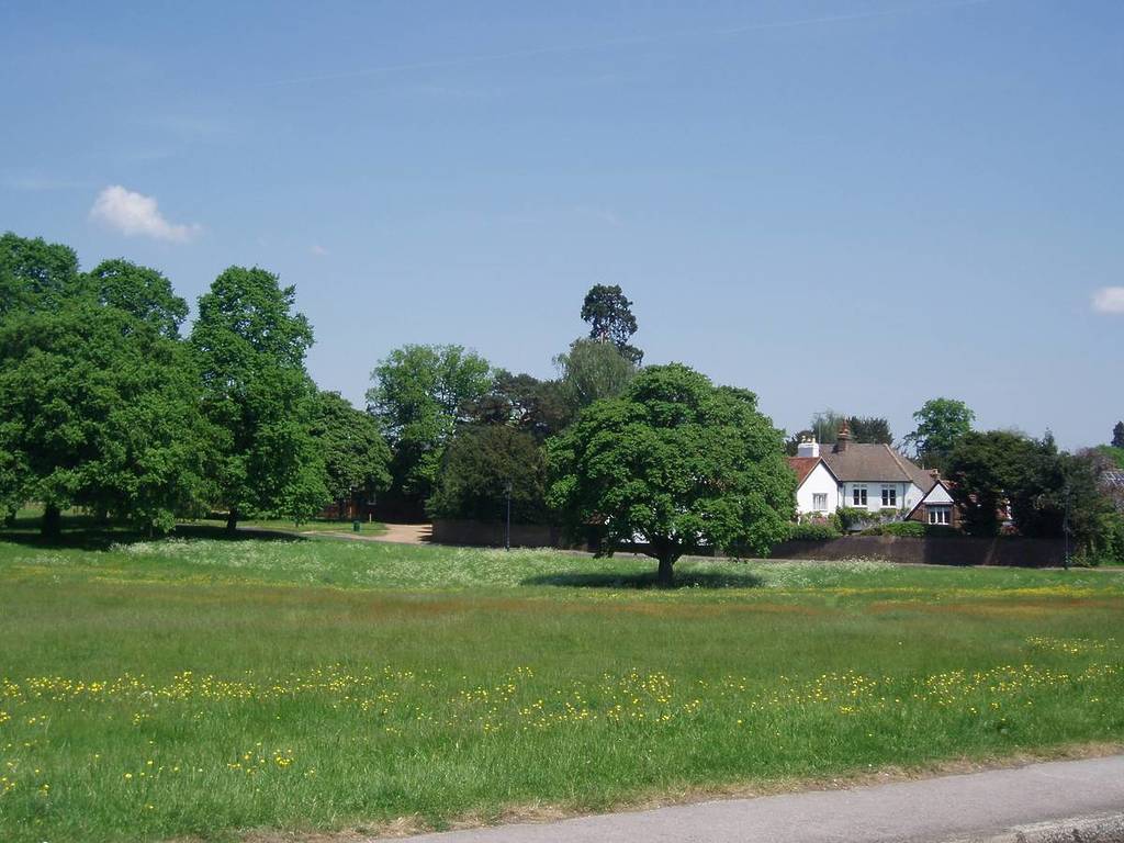 Um espaço verde num dia ensolarado, com árvores e uma casa ao fundo
