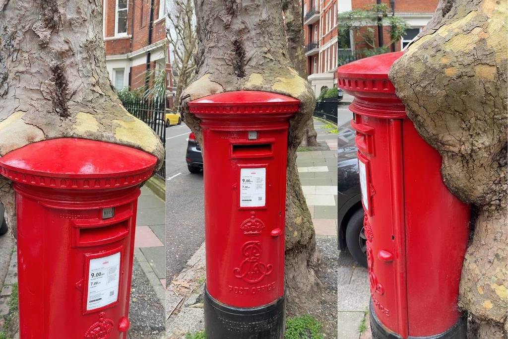 3 Bilder, die jeweils einen leuchtend roten Briefkasten in einer Londoner Straße zeigen, der von einem großen Baum umgeben ist, aus 3 verschiedenen Blickwinkeln