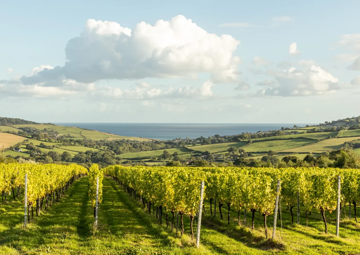exterior of louma hotel