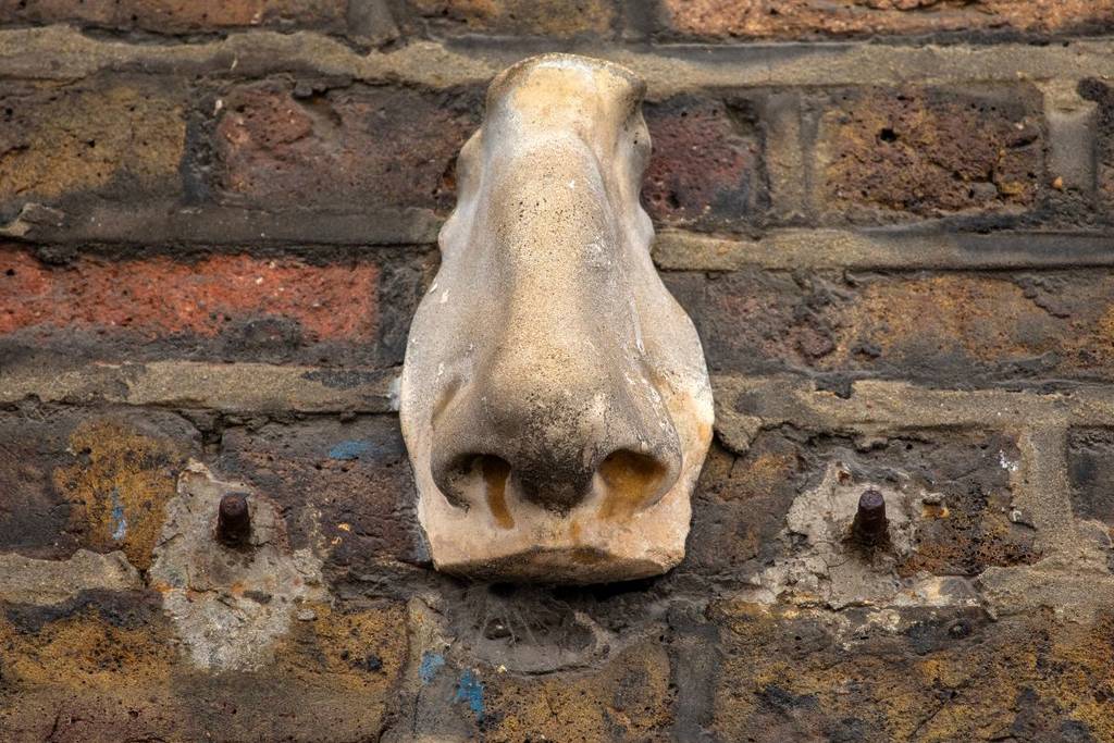 Eine Nasenskulptur, die an der Seite eines Gebäudes angebracht ist