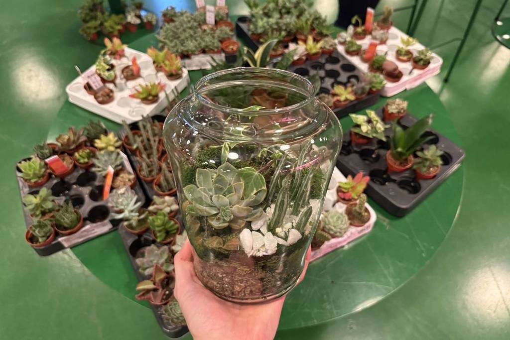 Ein mit kleinen Grünpflanzen gefülltes Terrarium dient als Ergänzung zu einem Tisch voller kleiner Grünpflanzen
